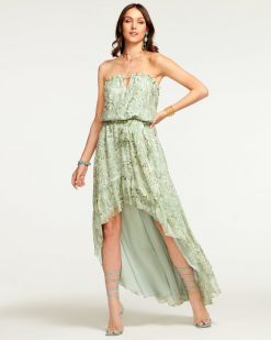 Ramy Brook Wedding Guest Edit Printed Neve Strapless Maxi Dress
