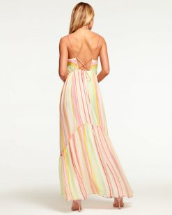 Ramy Brook Printed Trudy High-Low Maxi Dress